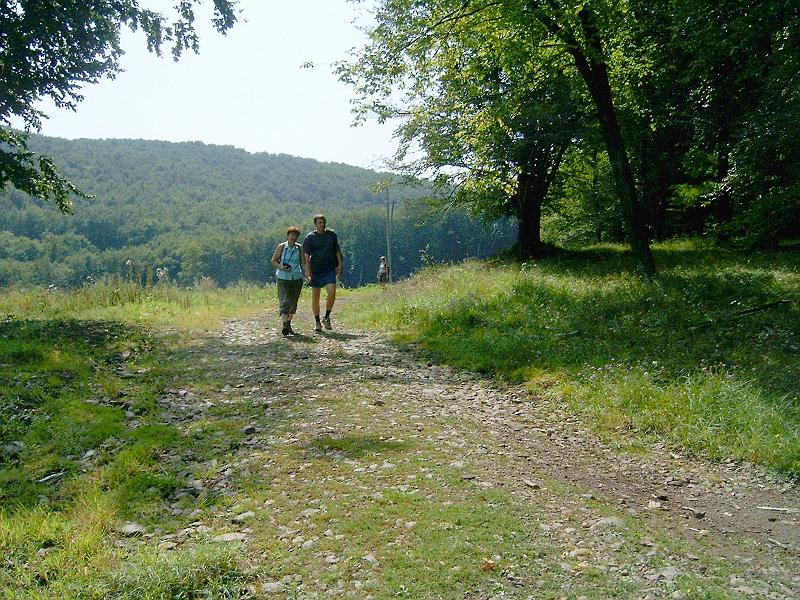 20100814 035.jpg